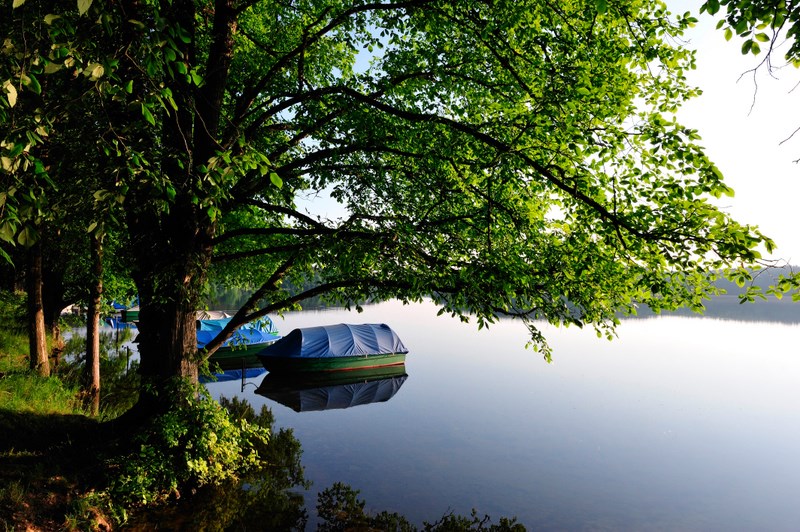 Campingplätze in Brandenburg - Camping am Dreetzsee