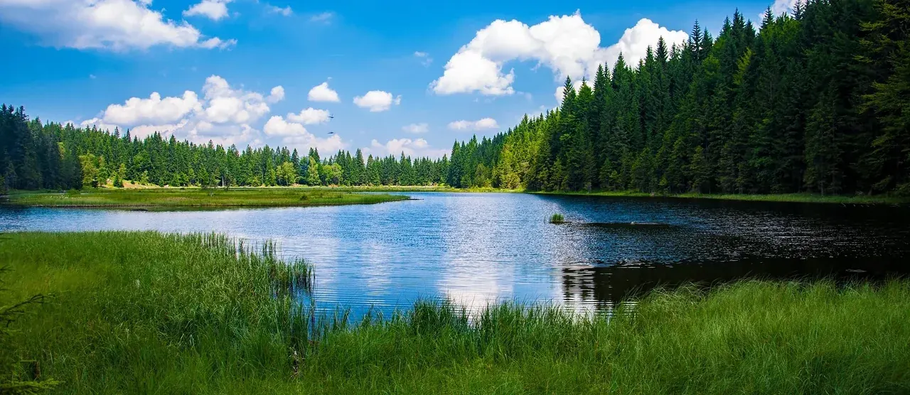 Wohnmobil mieten in Bayerischer Wald