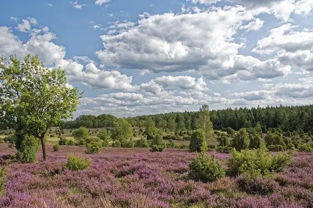 Wohnmobil mieten Niedersachsen - Reisetipps