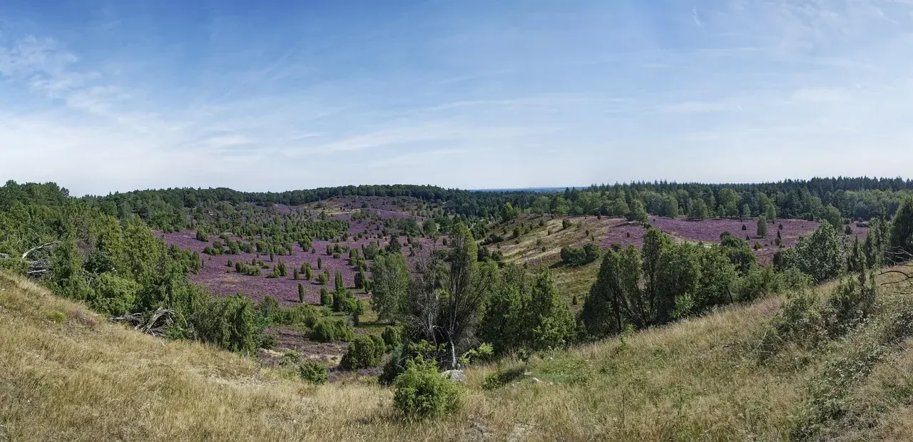 Wohnmobil mieten in Bardowick