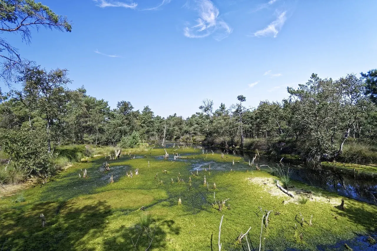 Wohnmobil mieten in Laatzen