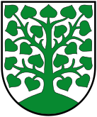 wappen-homburg.png