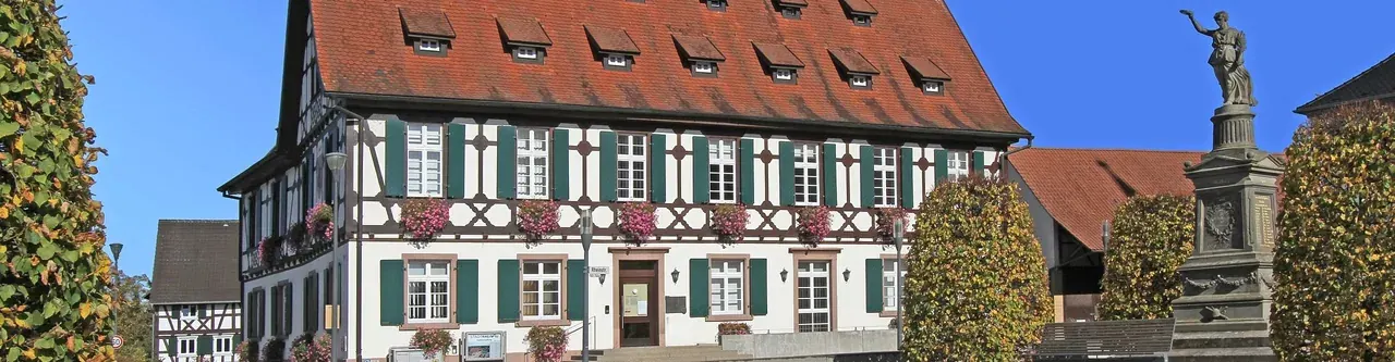 Wohnmobil mieten in Rheinau